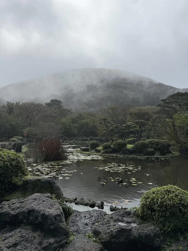 Mist over a traditional garden pond and lily pads below the mountain