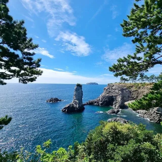Oedolgae rock pillar framed by pines on a clear day, Seogwipo