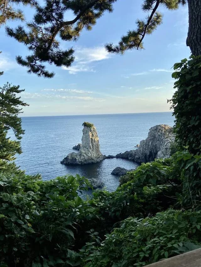 Oedolgae sea-stack framed by pine trees at dusk