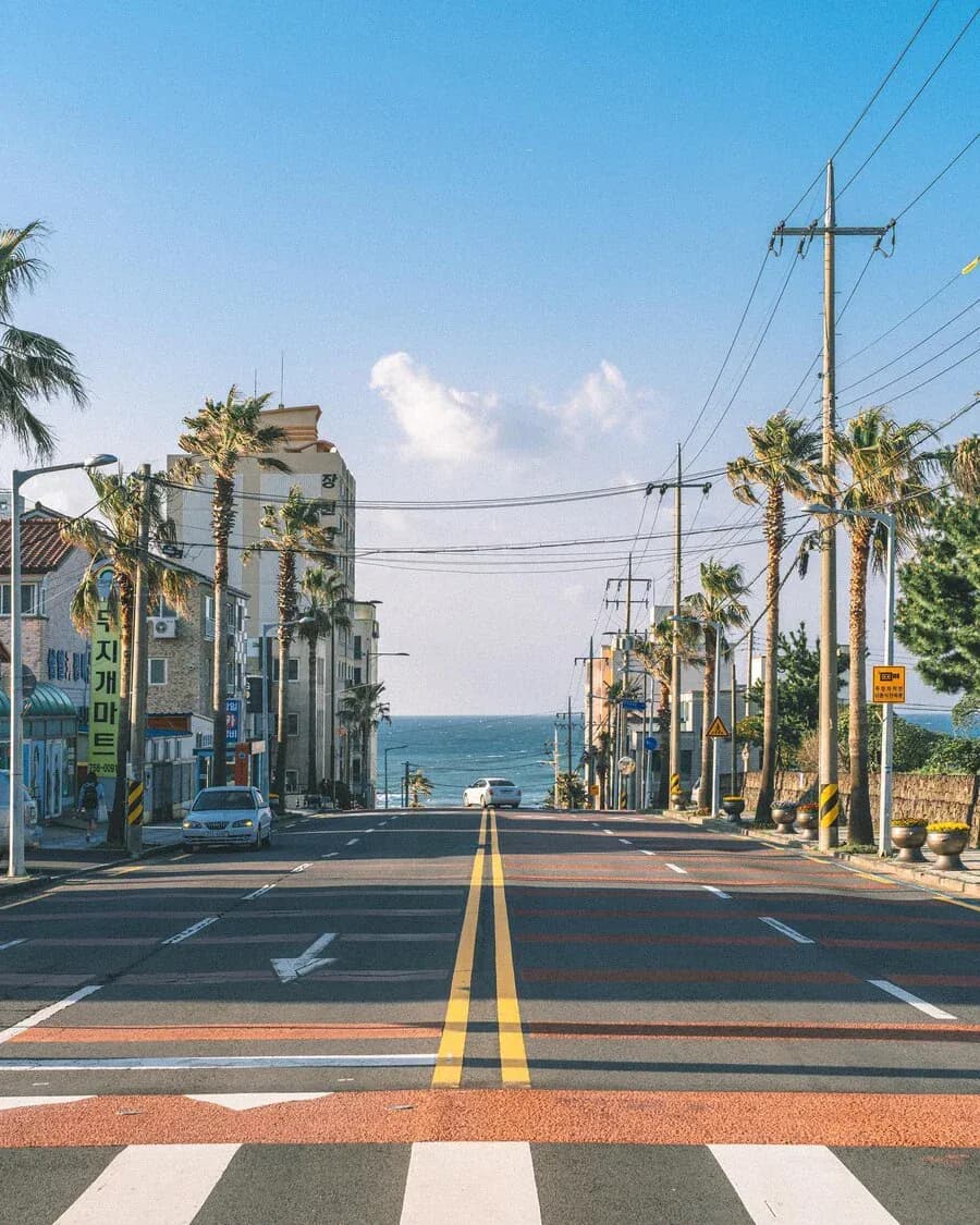 Palm-lined coastal crossroads opening to the sea, Jeju