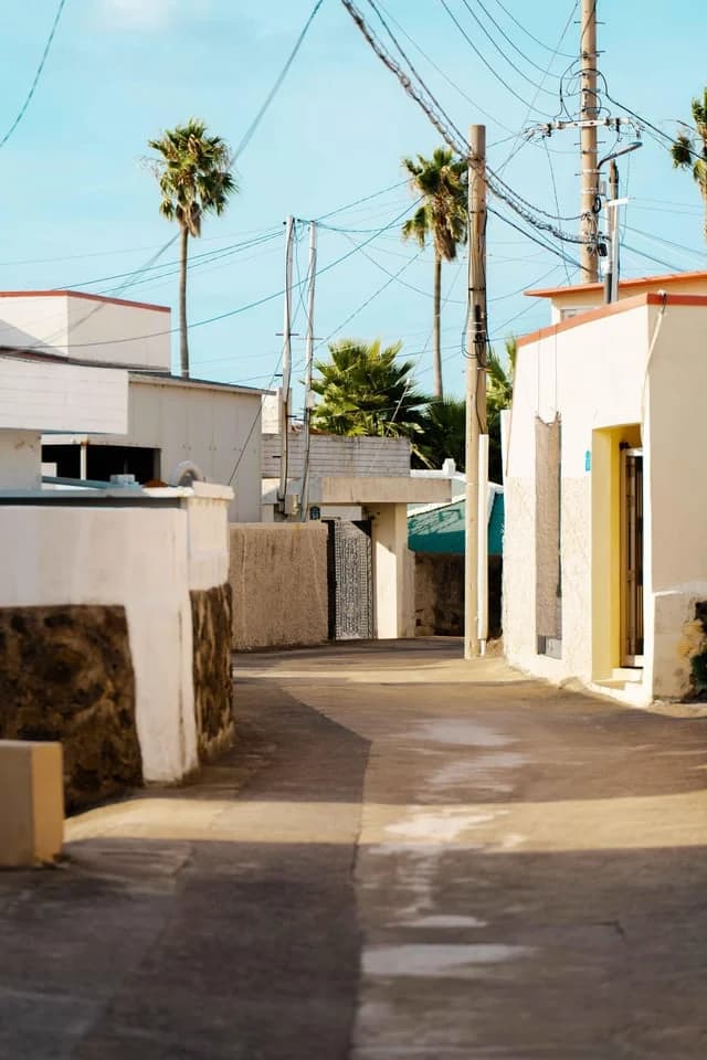 Whitewashed village lane with palms under a deep-blue Jeju sky