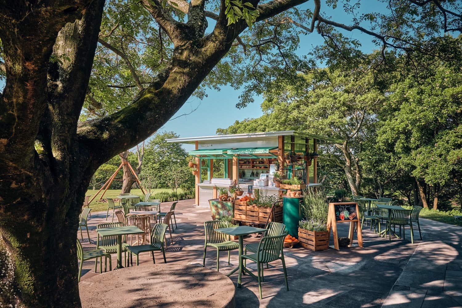 Innisfree Jeju House