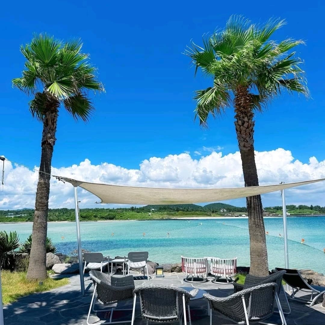 Pyoseon Hada — Beachfront Palms
