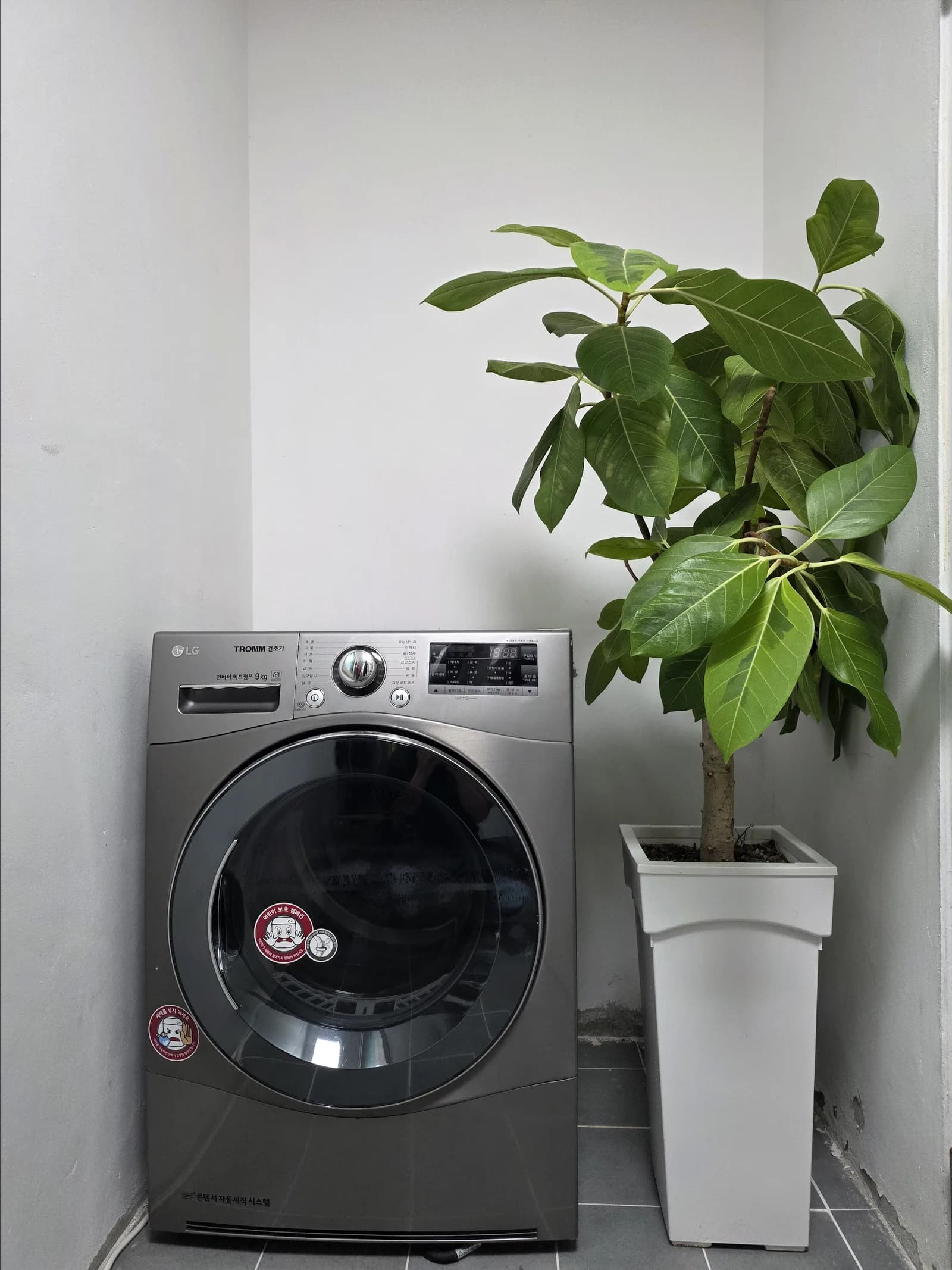Laundry nook with LG washer-dryer and a potted fig tree