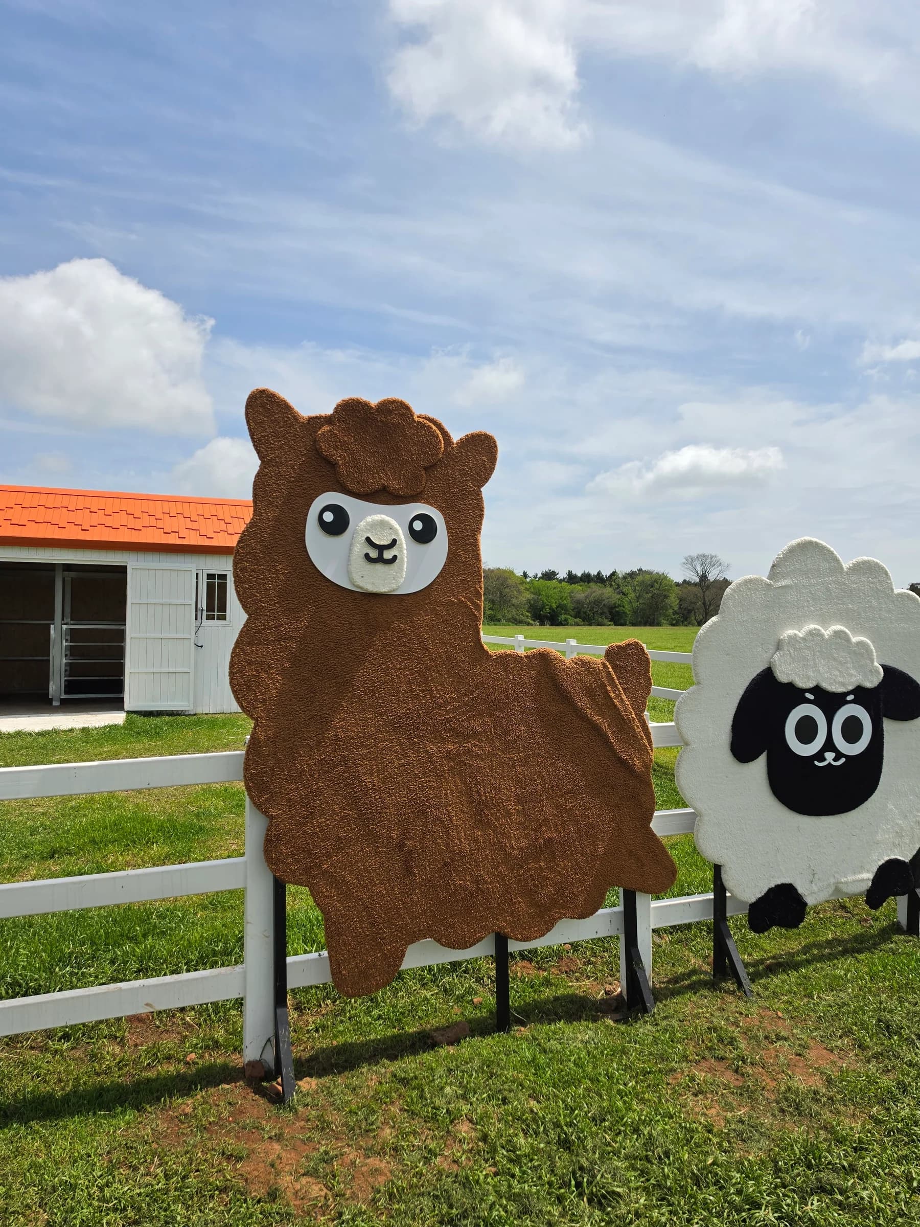 Alpaca and sheep figures by a white fence