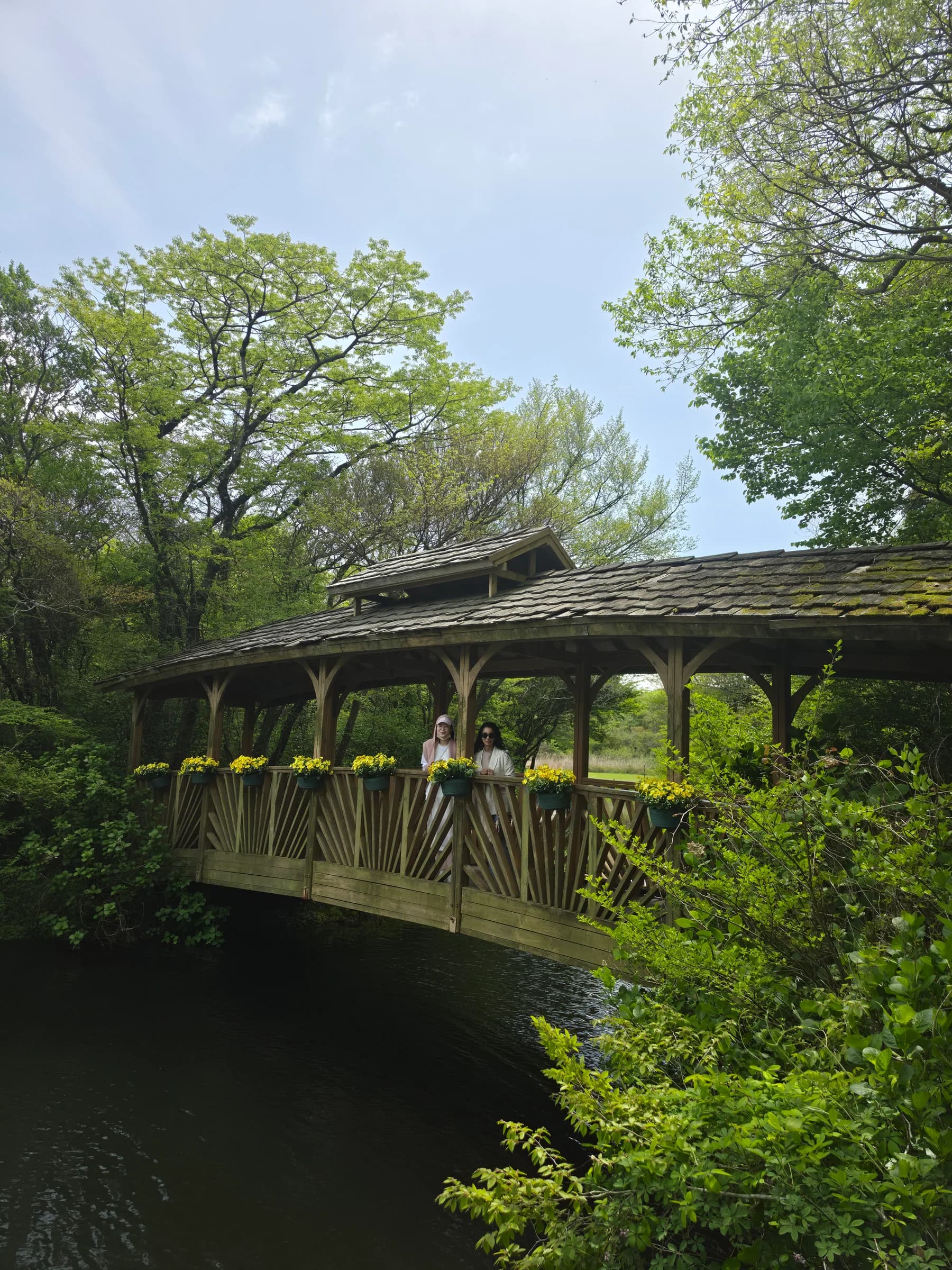 Wooden footbridge in a lush forest garden