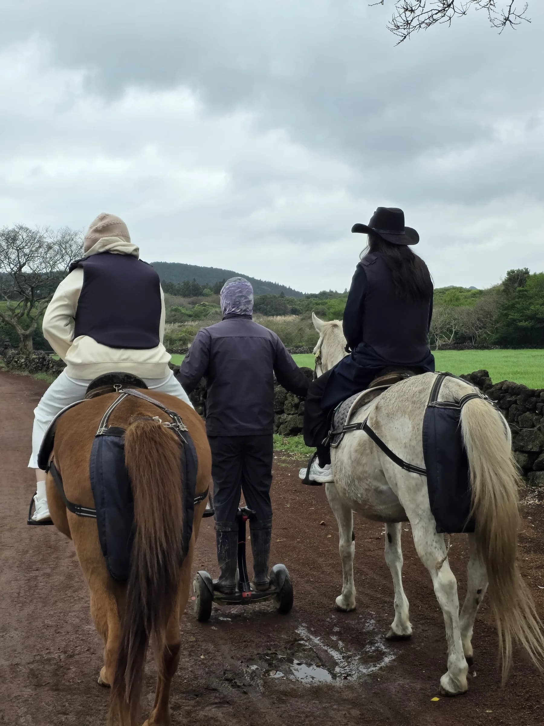 Guests on horseback at a Jeju ranch