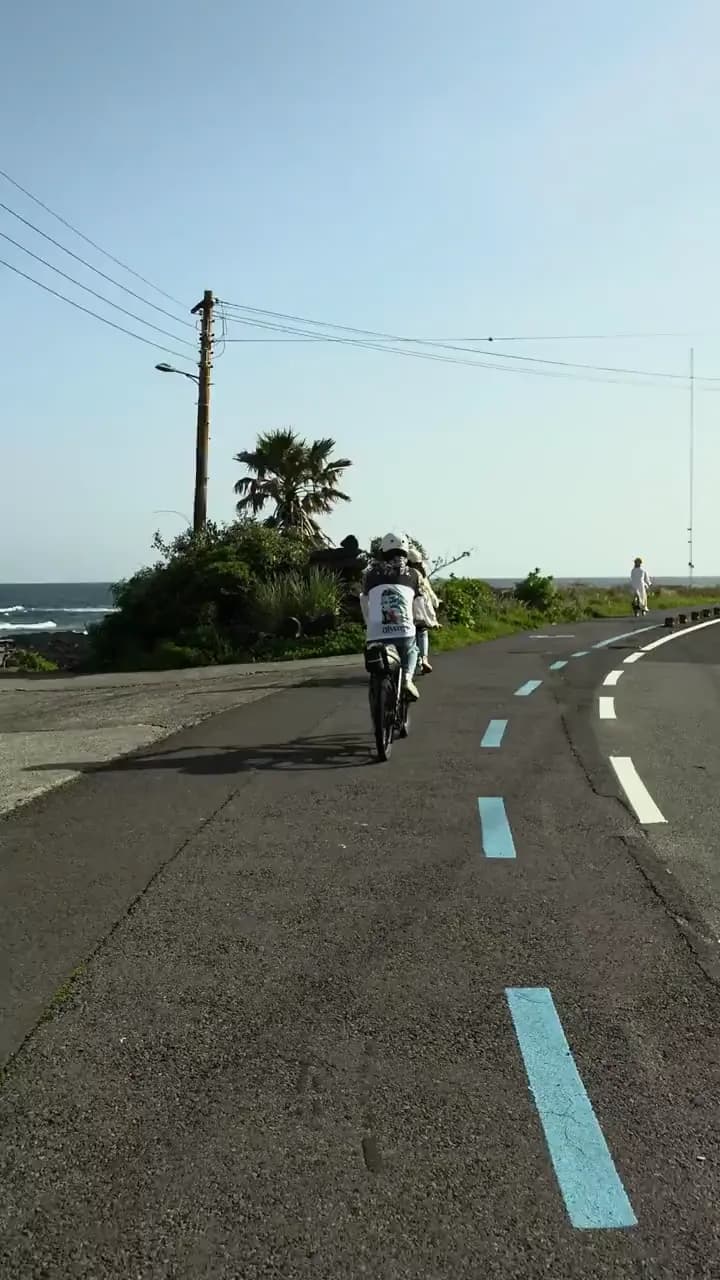 Cycling along the ocean road past a palm tree