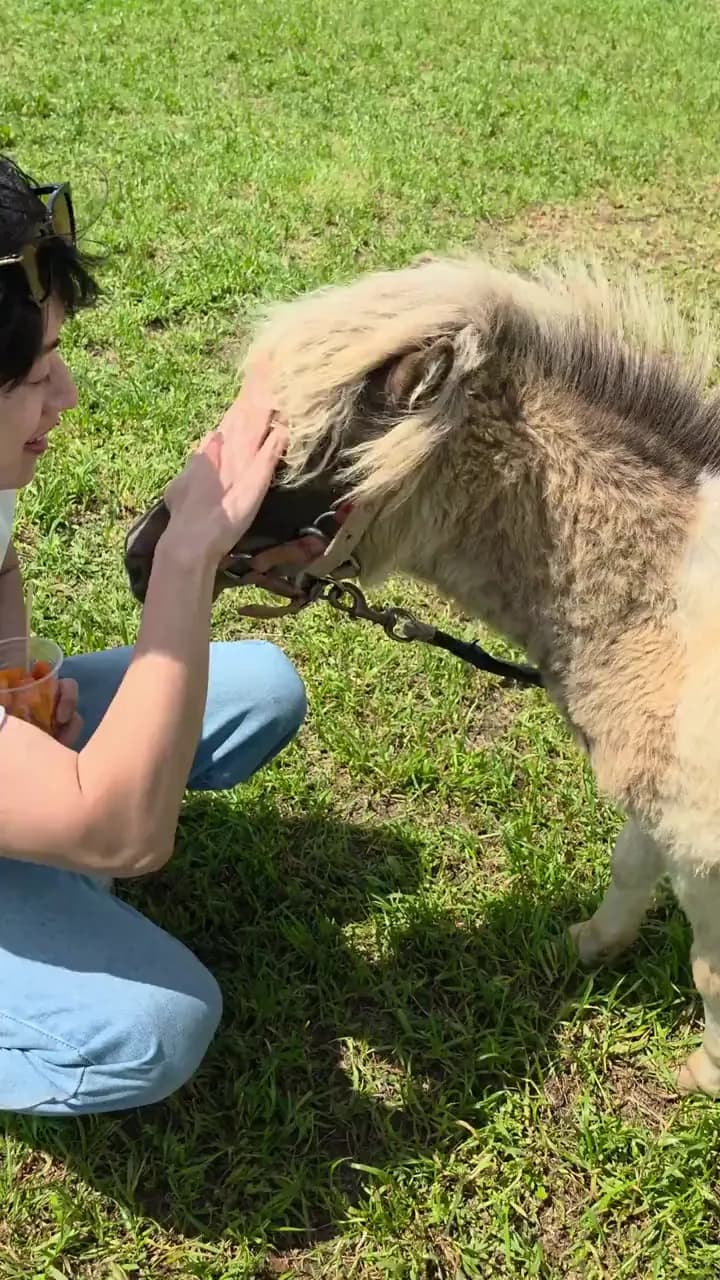 Petting a long-haired pony