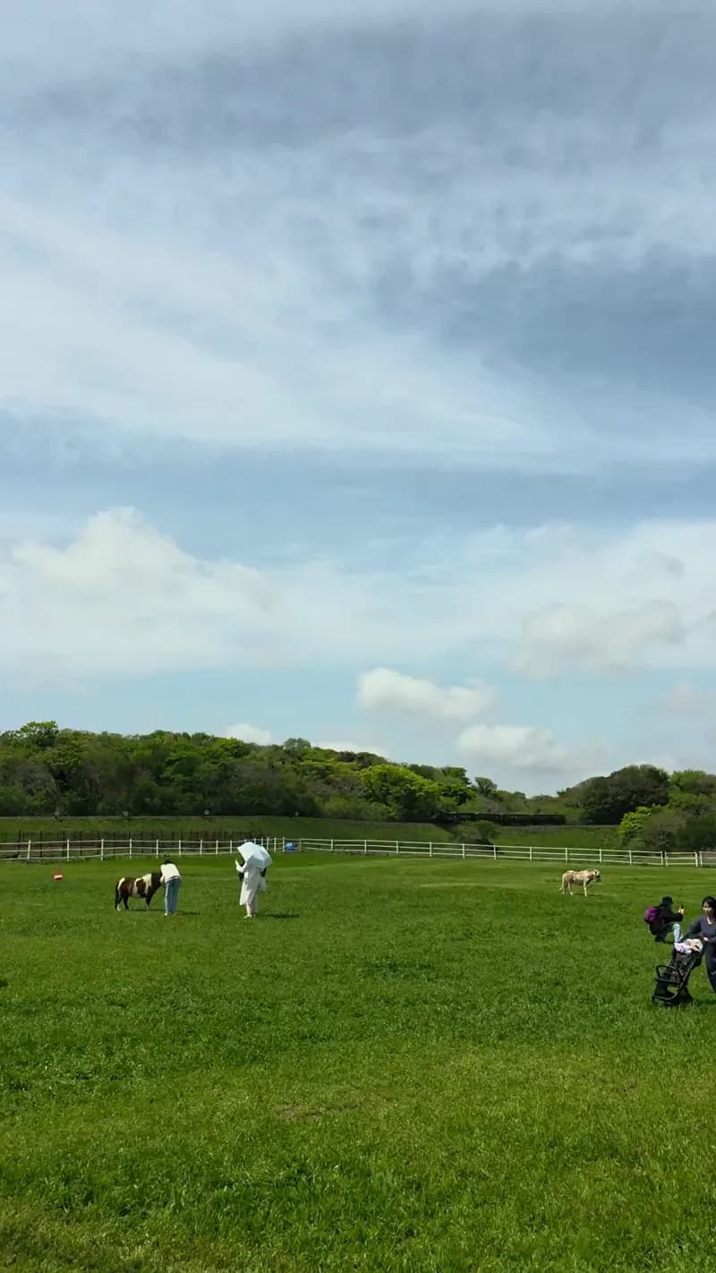 Wide view of the ranch with mini horses and a families on the lawn