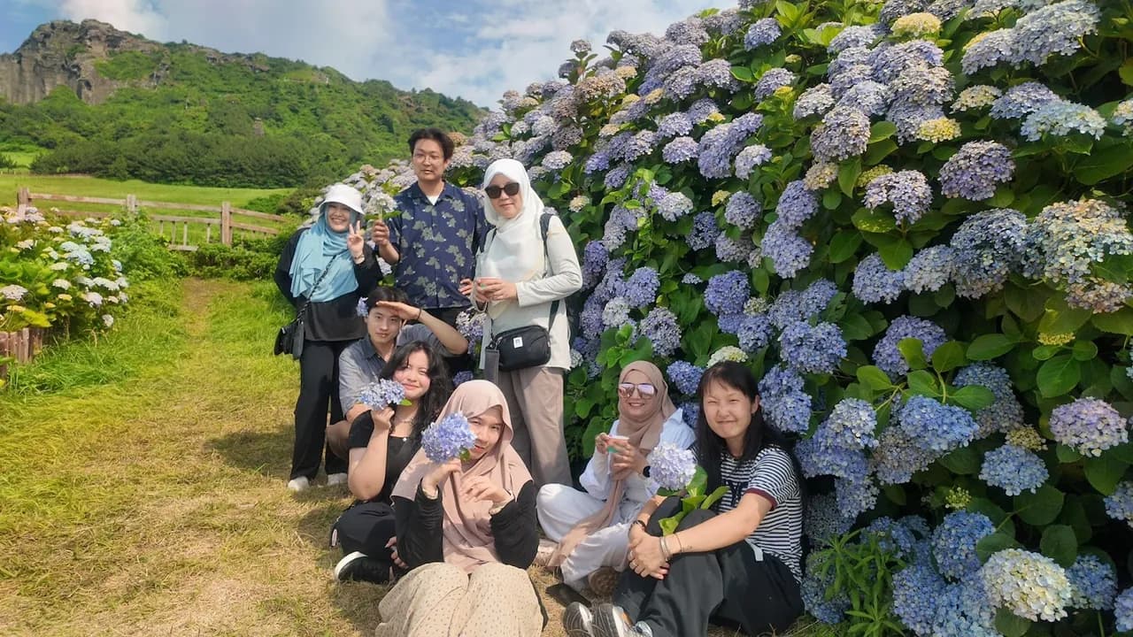 Guests gathered among blooming blue hydrangeas on the Seongsan coast