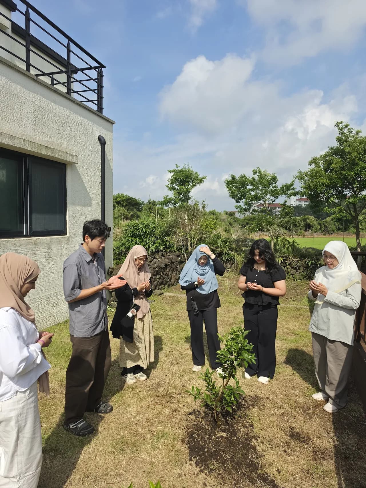 Guests settling the young tangerine tree into the soil together