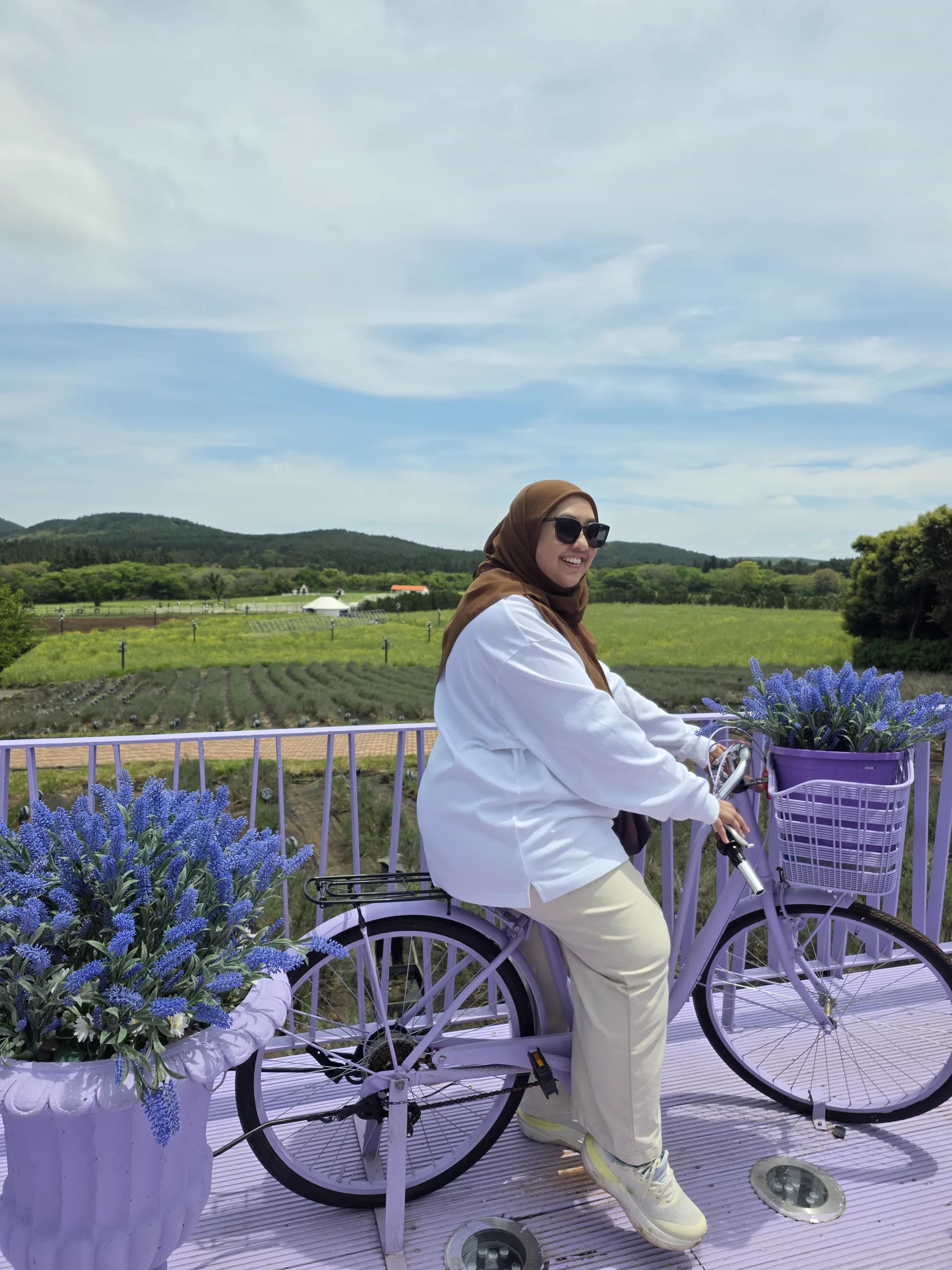 Purple flower field with a white bicycle — Jeju spring blooms