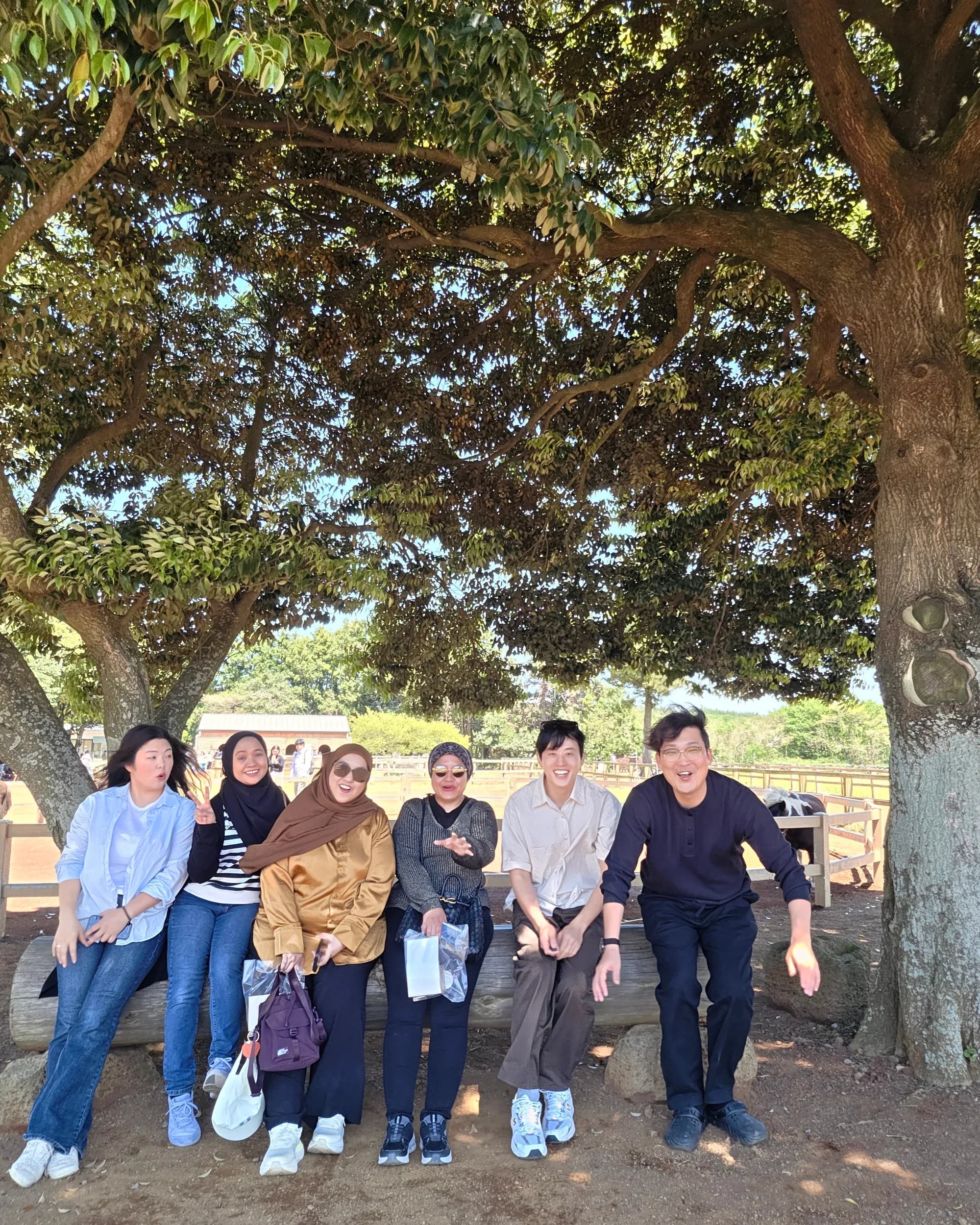 Group on a wooden bench under old village trees — Seongeup folk village