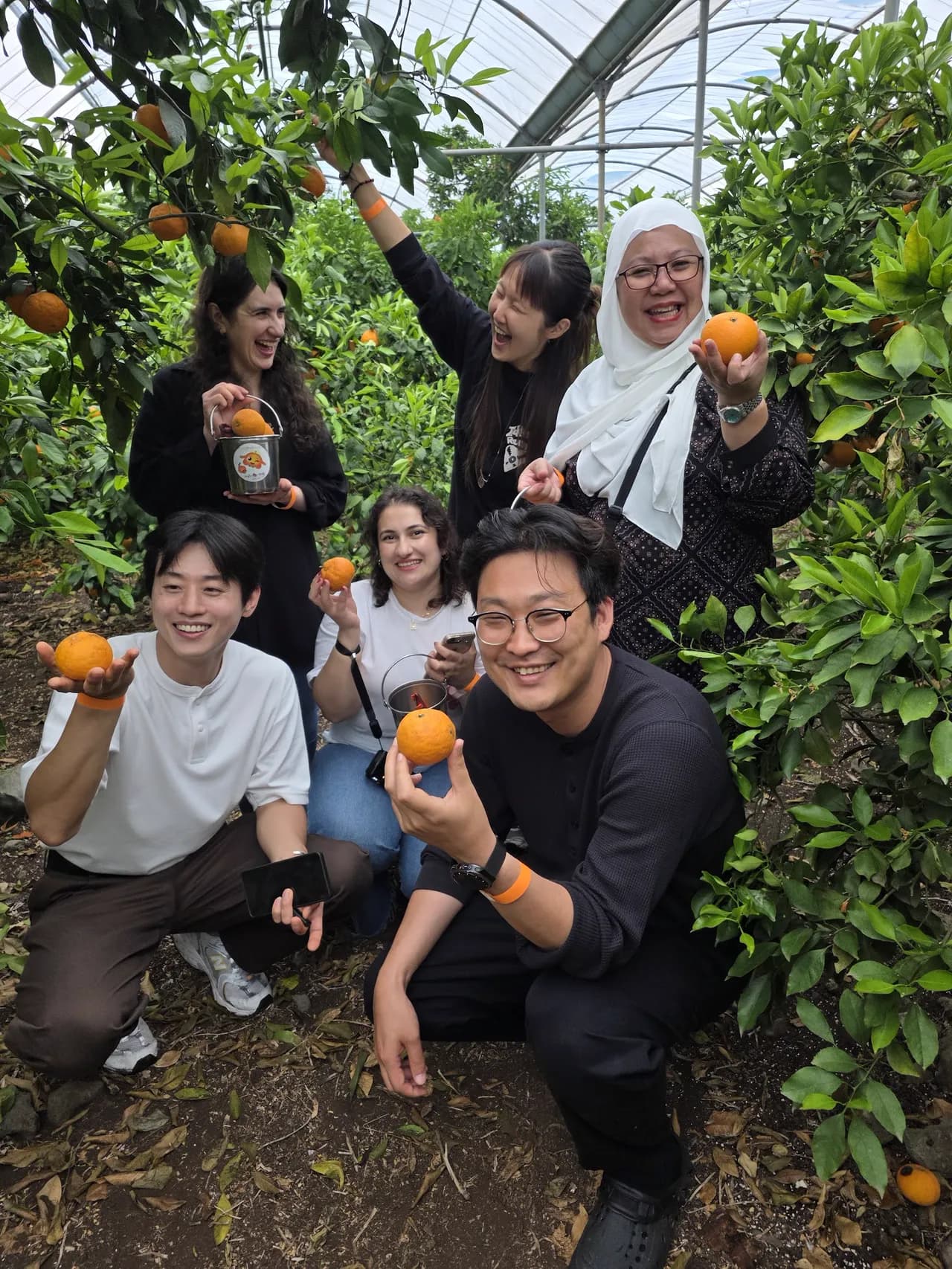 Nasir with the May cohort laughing in a tangerine grove, oranges raised