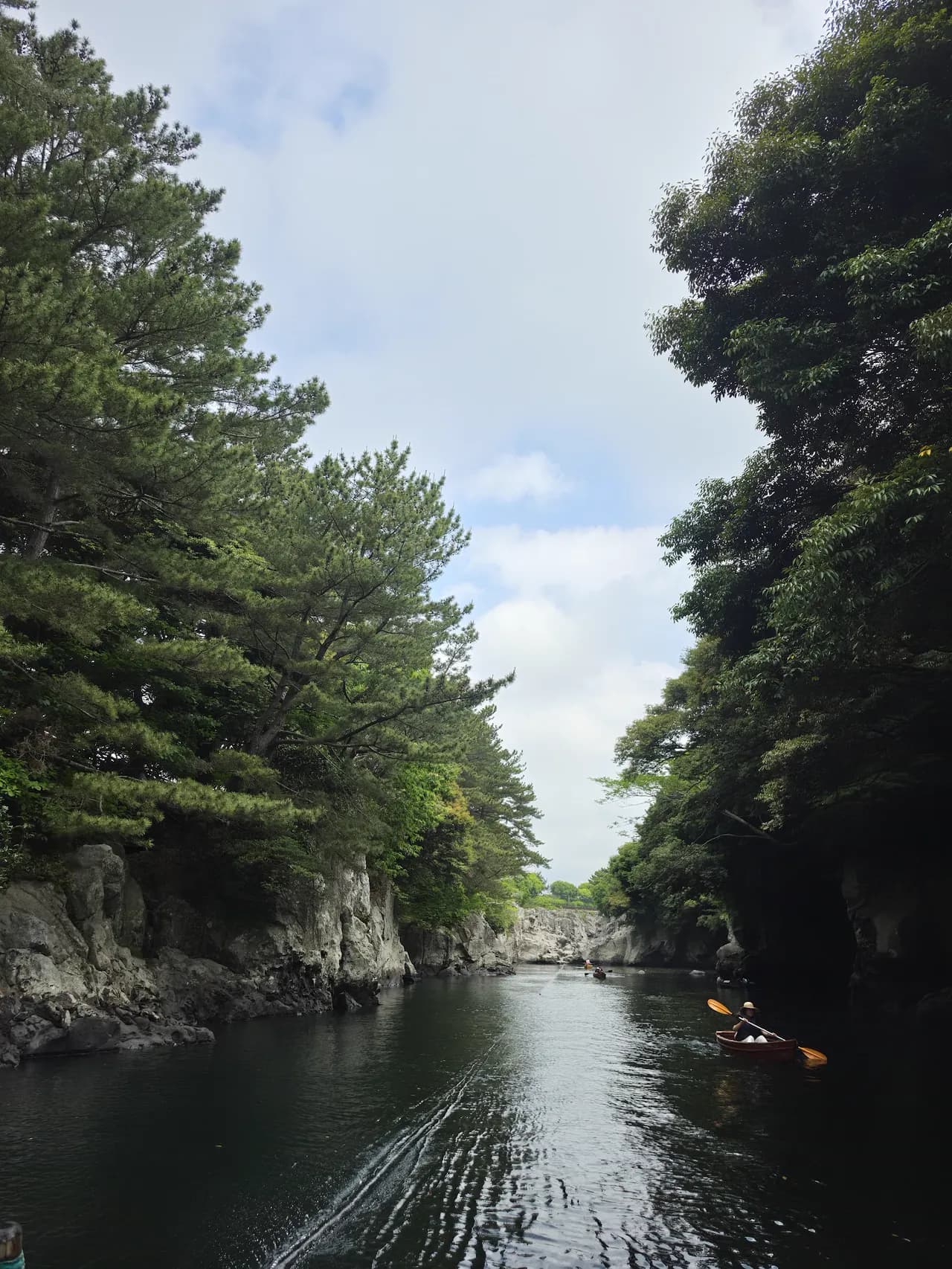 Kayaking the emerald Soesokkak gorge between pine-topped cliffs