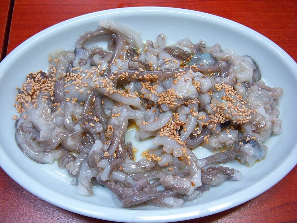 Live Octopus