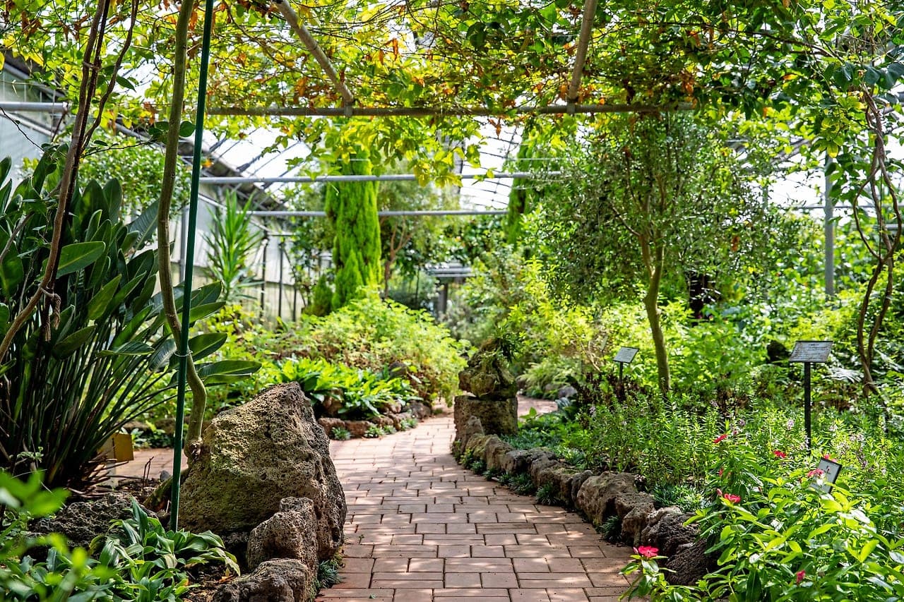 Jeju Herb Garden