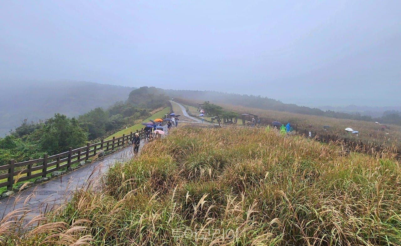 Sangumburi Crater